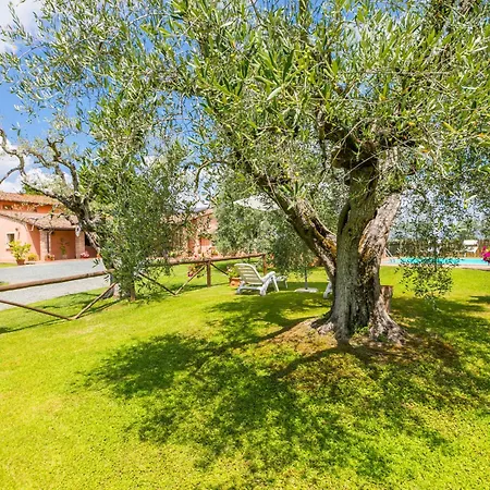 Casale L'uliveta By Interhome Tatil Evi